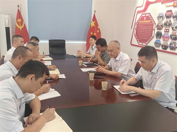 公司領(lǐng)導(dǎo)調(diào)研指導(dǎo)鼎信公司、藍盾...